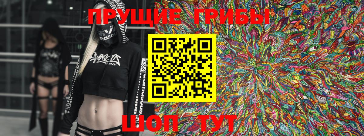 Псилоцибиновые грибы Psilocybine cubensis  Вход с VPN  Галлюциногенные грибы Psilocybine cubensis  Заринск 